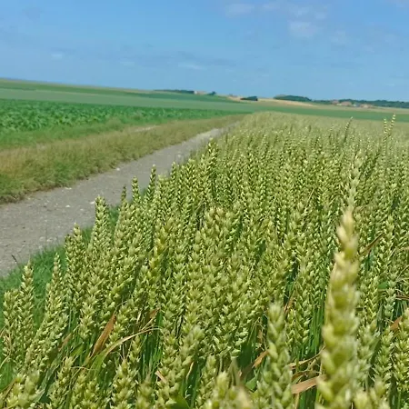 Apartamento Des 2 Caps