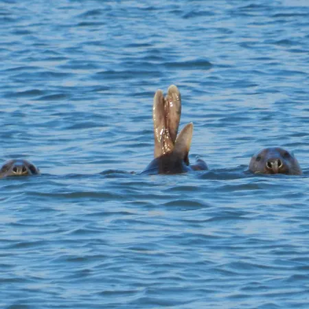 Des 2 Caps דירה אמבלטוסה